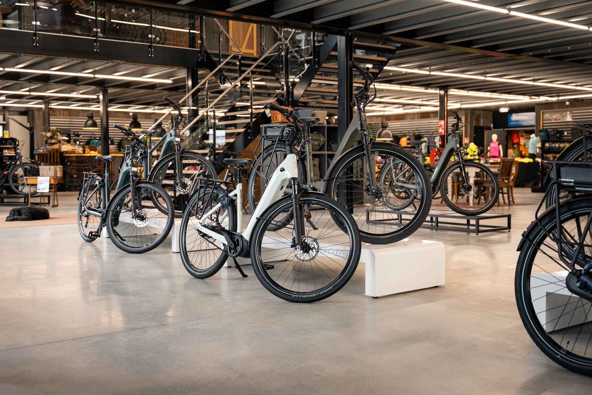 Foto stads- & kinderfietsen