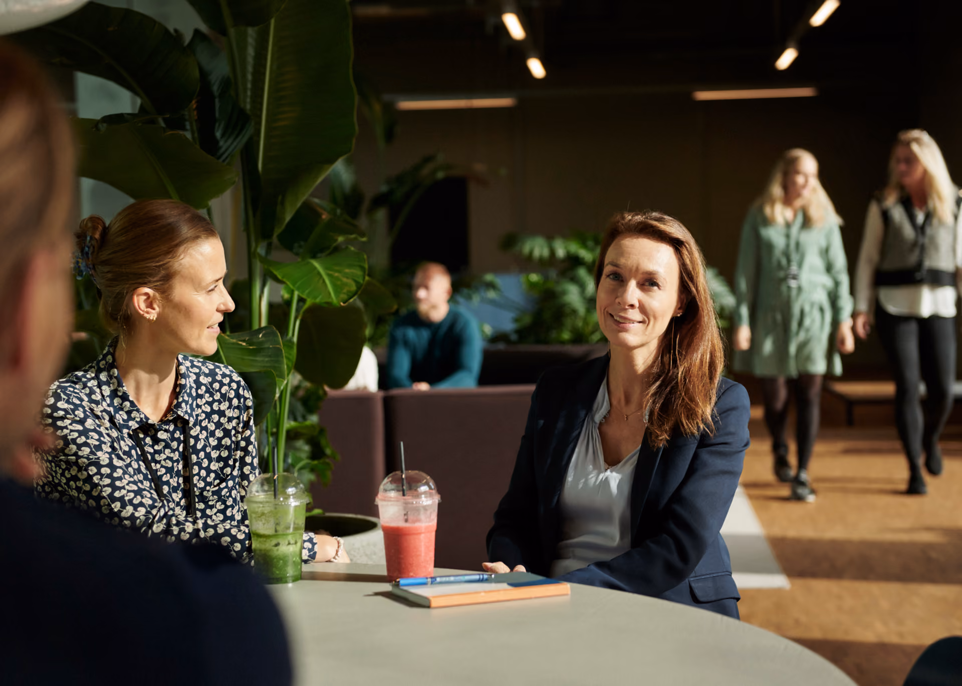 Två kvinnor sitter vid ett bord och samtalar, den ena i blommig blus och den andra i mörkblå kavaj, med gröna och röda iskaffedrycker framför sig och stora växter samt personer i bakgrunden på ett kontor.