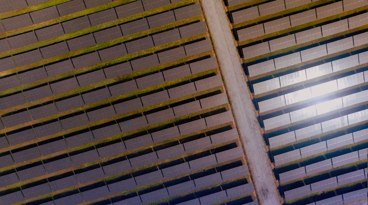 Nahaufnahme parallel angeordneter Solarmodule einer Photovoltaikanlage