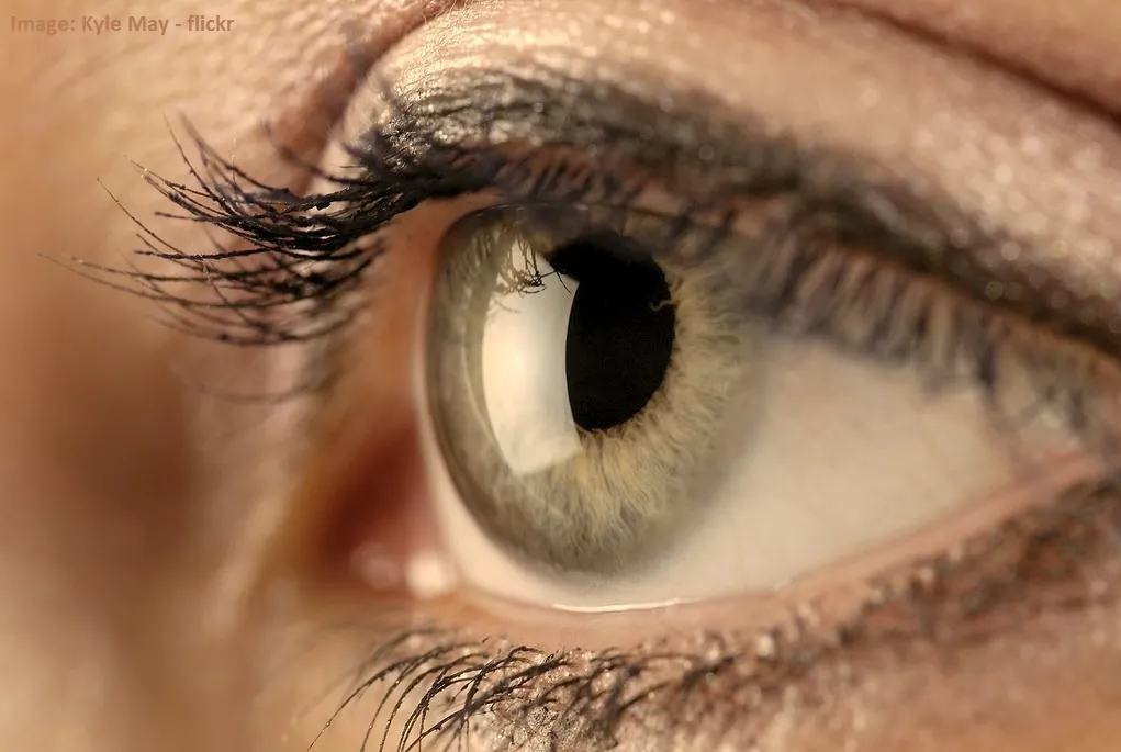 Corneal Dystrophy