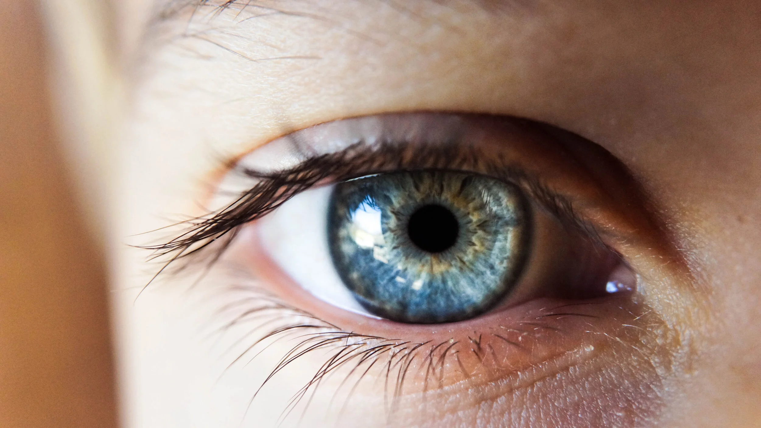 Ocular Neuroprotection