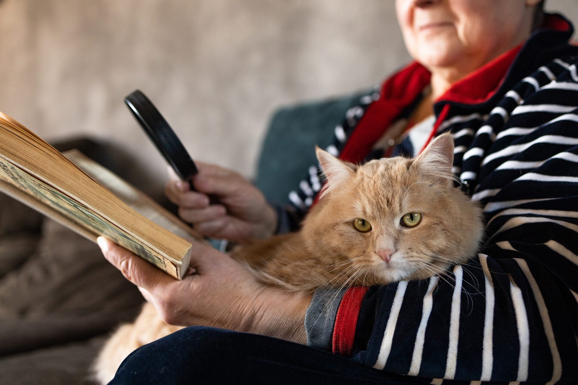 Living Well With Low Vision: Tools, Training, and a Plan for Independence