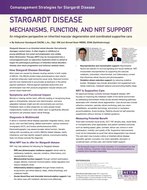 Stargardt Disease article cover: Mechanisms, Function, and NRT Support