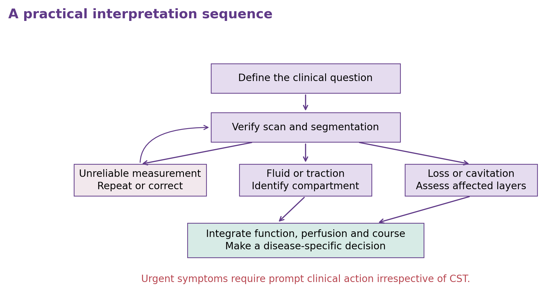 A branching workflow verifies the OCT, separates unreliable measurements from fluid, traction and tissue loss, and integrates function into a disease-specific decision.