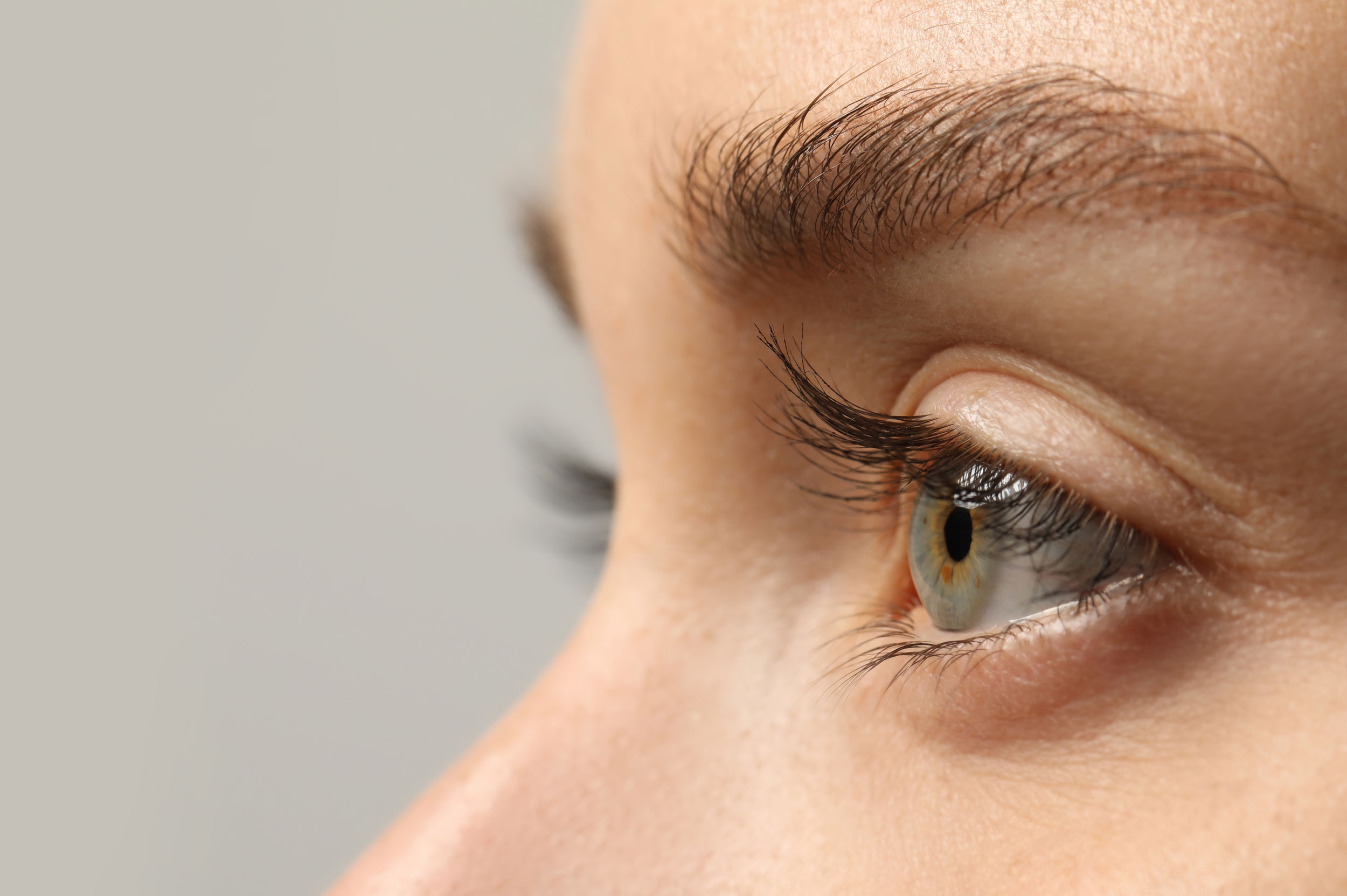 Demodex Blepharitis: Eyelash Mites, Symptoms and Treatment