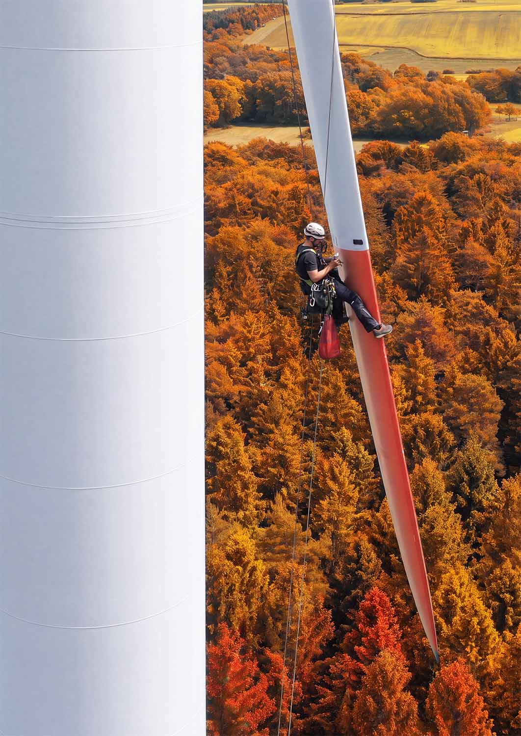 Technician abseiling on a wind turbine blade above autumn forest