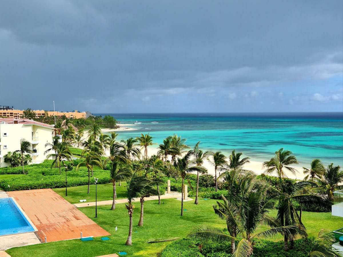 Palm trees near turquoise water in the Mayan Riviera