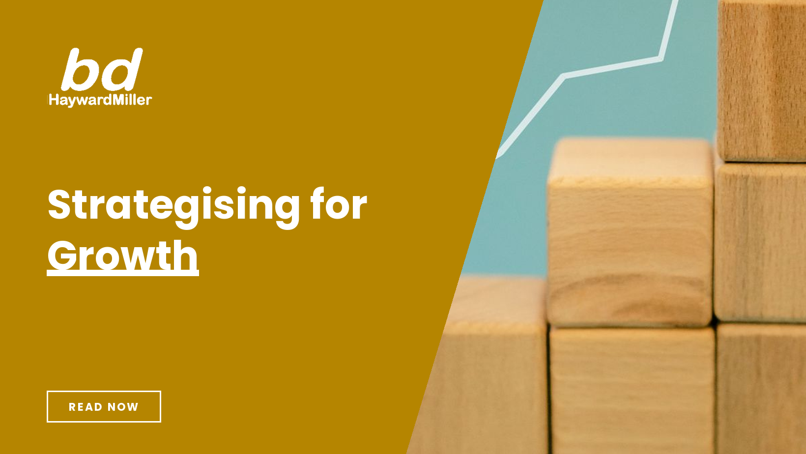 Strategising for Growth