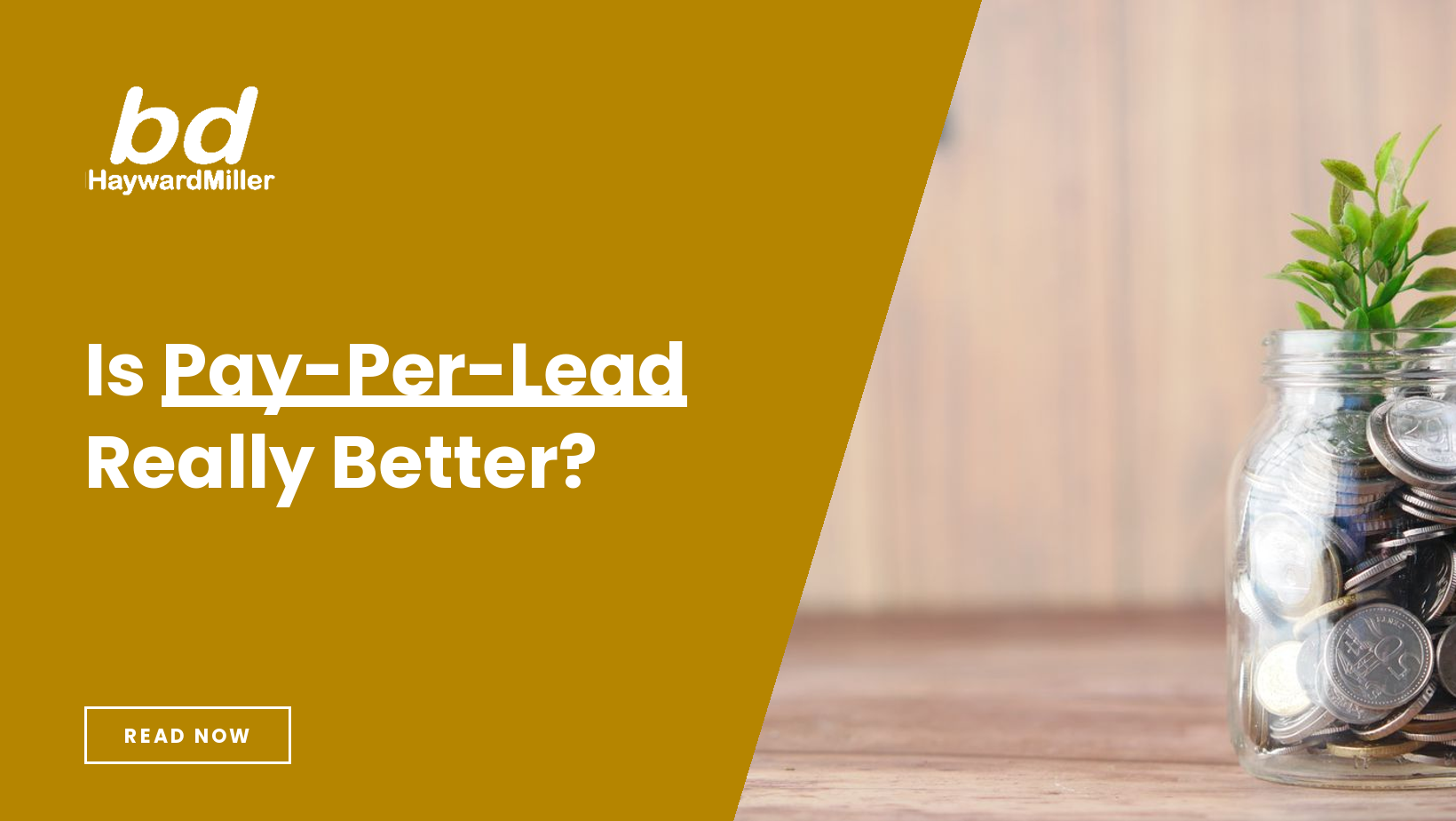 Is Pay-Per-Lead Really Better?