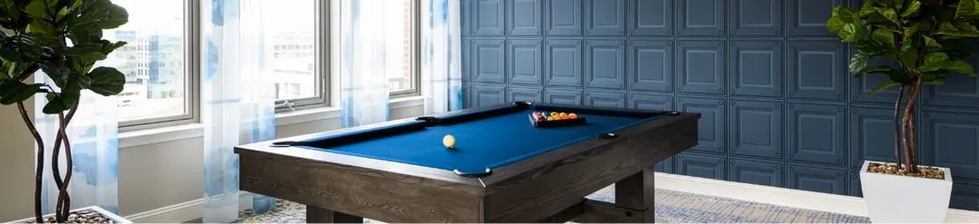 pool table in the game room