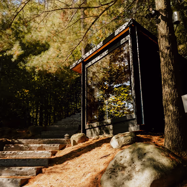 Small modern sauna with large glass window reflecting trees, nestled in a forest with stone steps nearby.