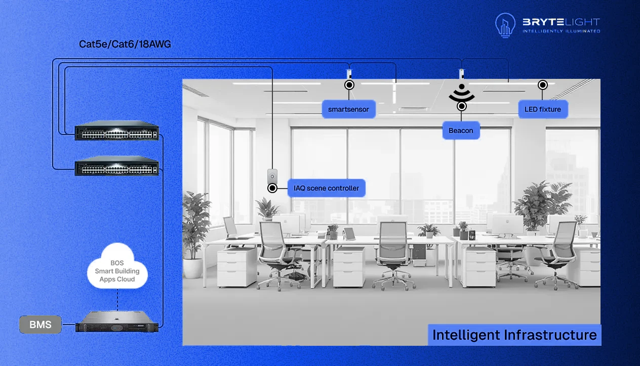 Intelligent infrastructure: Cat5e/Cat6 low-voltage runs, smart sensors, beacons and BMS integration