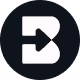 Brisk Logo