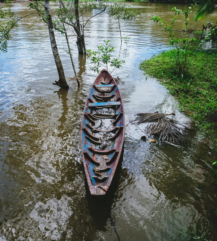 Project Photo