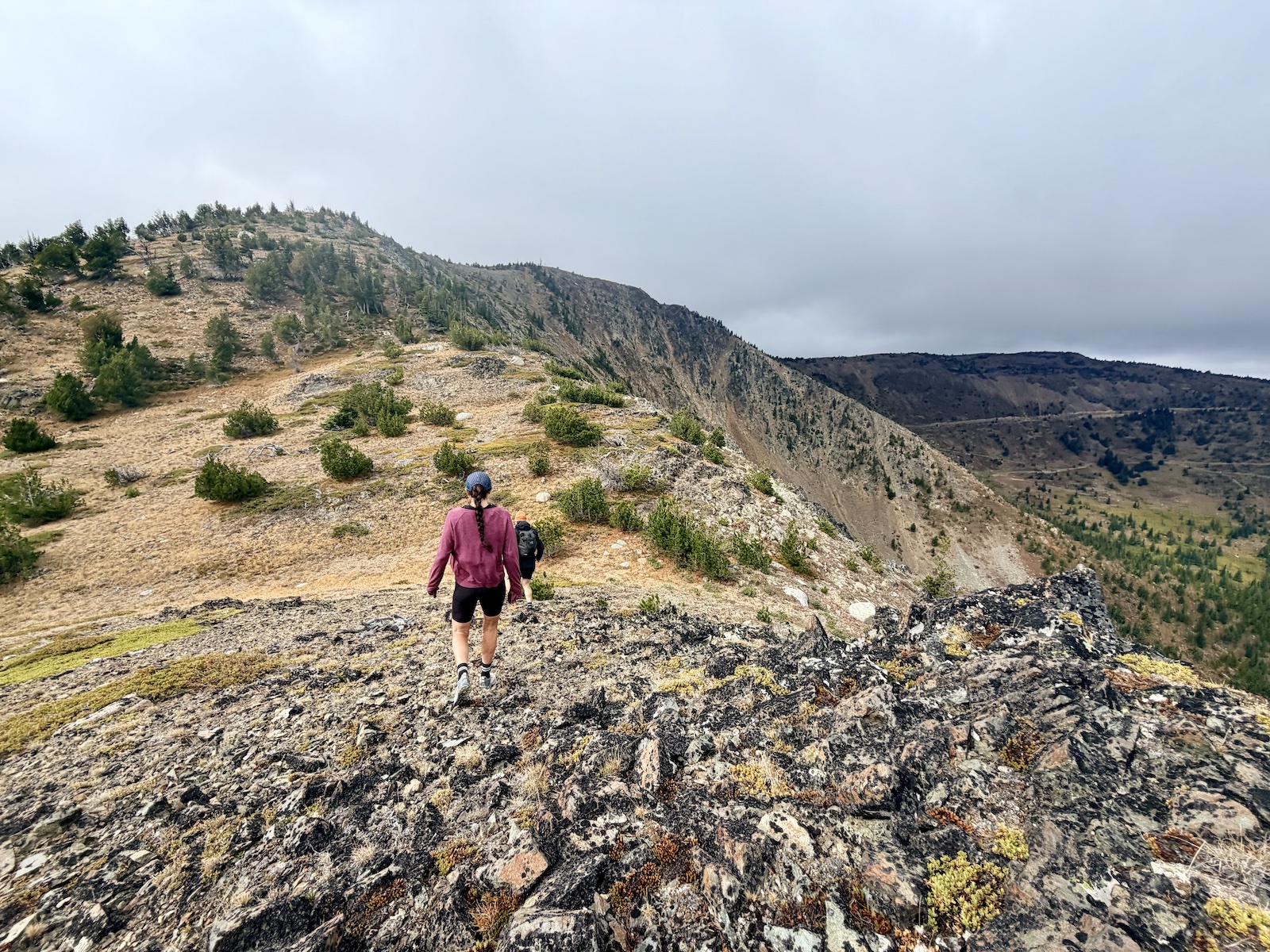 Wildside Skyrace