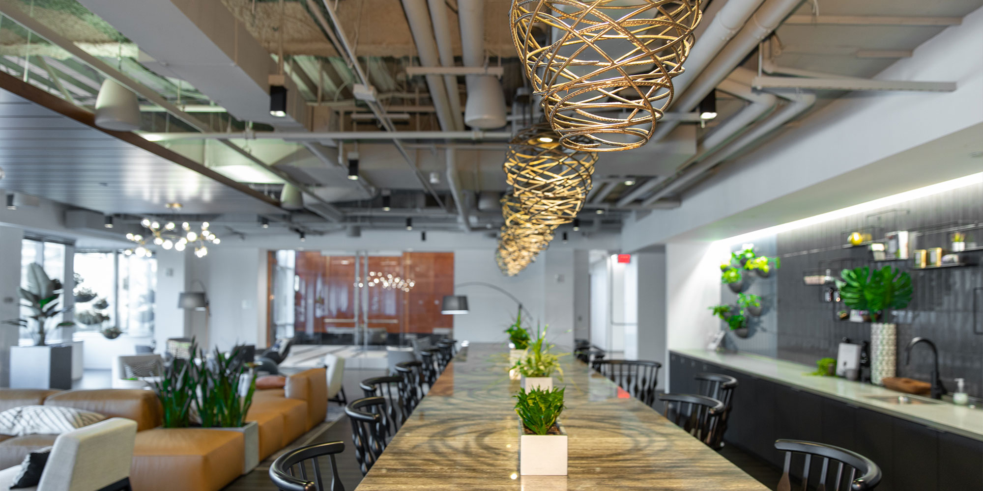 The practice reception in Northern Virginia