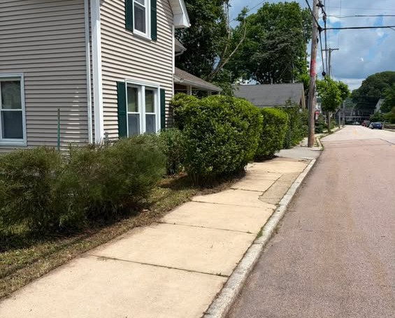Precision tree and heavy brush trimming restoration for a residential property near Westerly, RI.