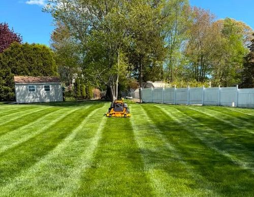 Precision diagonal lawn stripes on a wide backyard mowed by a Westerly landscaping contractor.