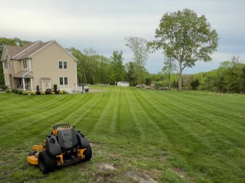 Residential lawn mowing service featuring clean striping and crisp edging in Westerly, RI.