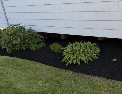 Crisp parallel lawn striping and sharp turf edging on a residential property in Westerly, RI.