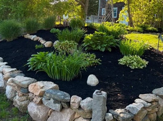 Freshly applied dark mulch and clean bed borders around residential foundation plantings in Westerly, RI.