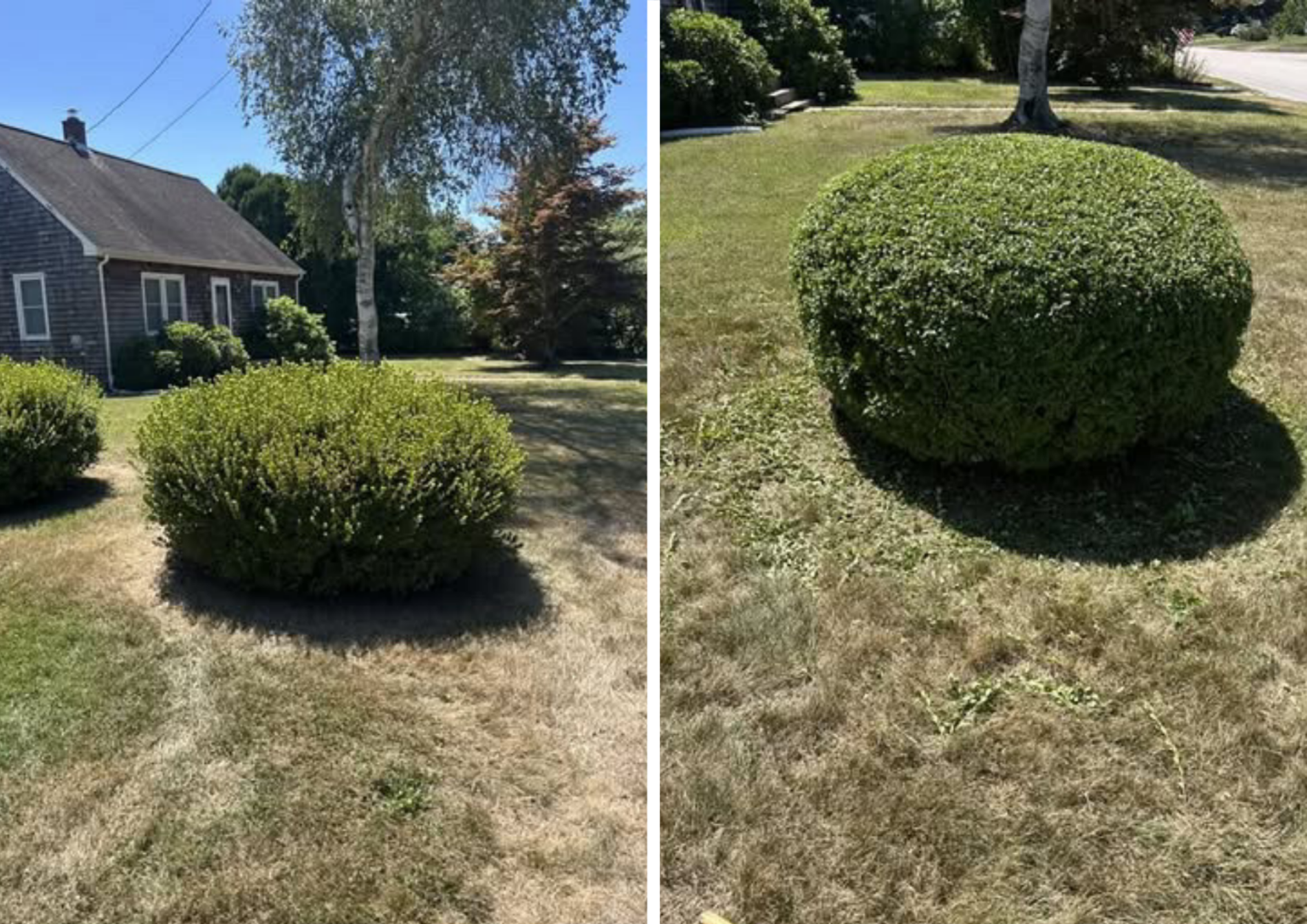 Crisp parallel lawn striping and sharp turf edging on a residential property in Westerly, RI.