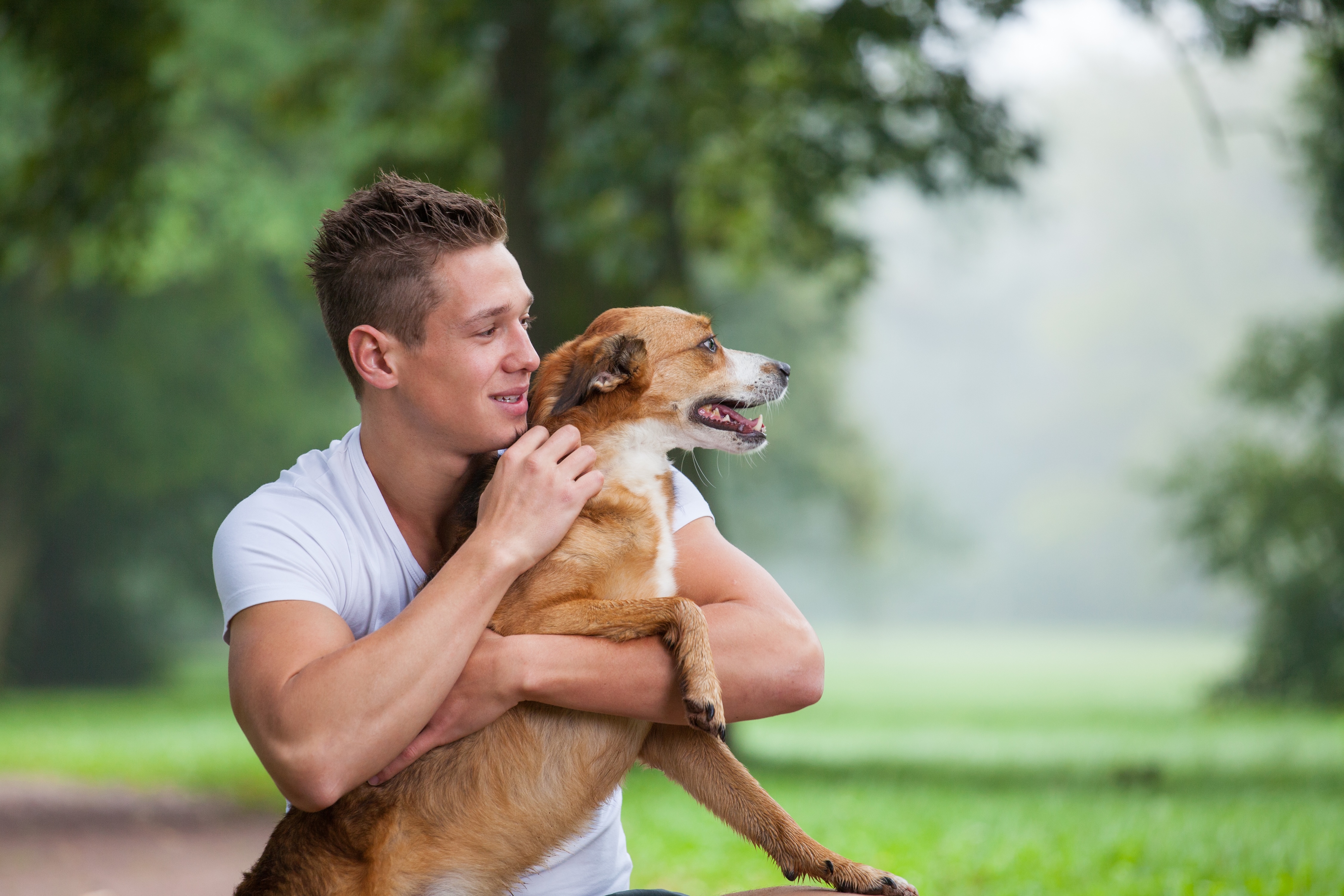 Man holding a dog at the park stock image