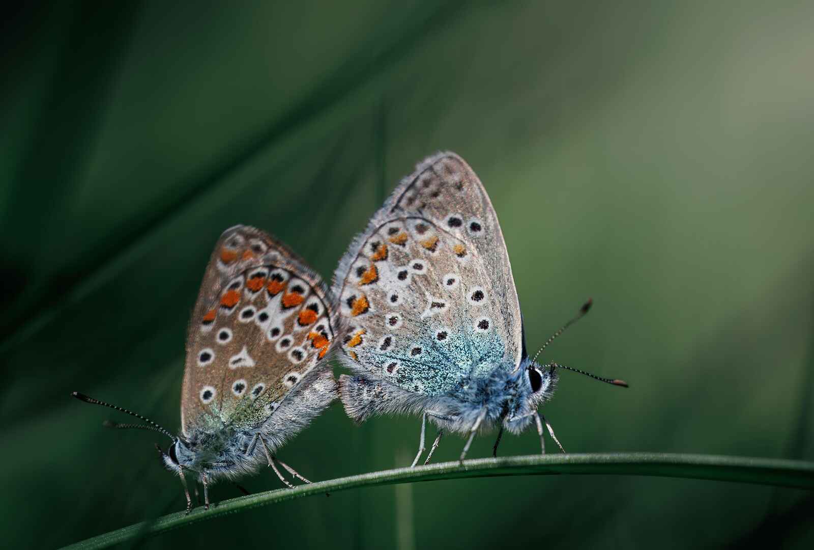 Blog cover image