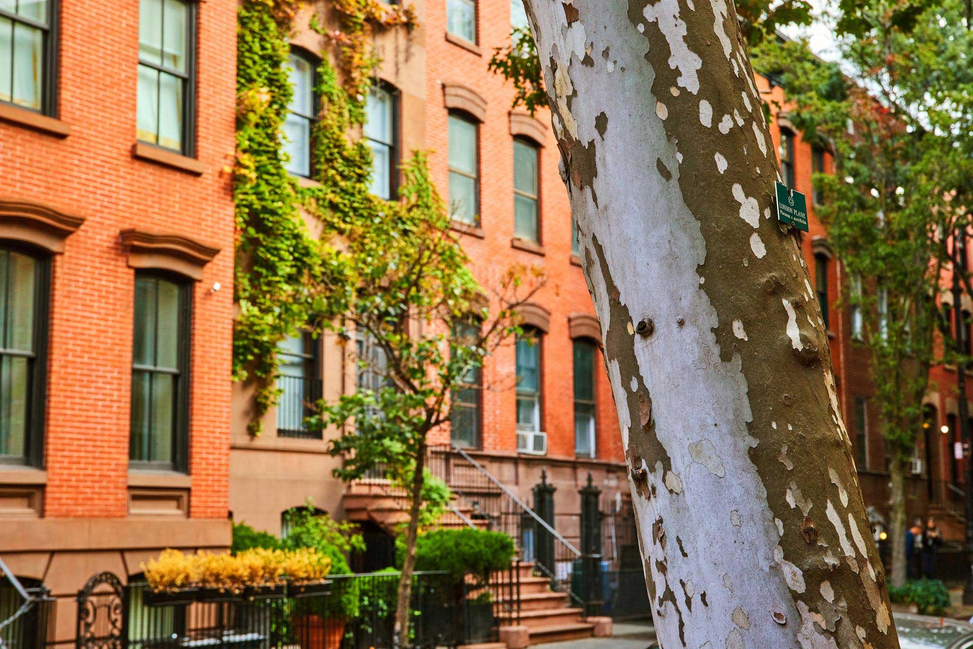 The NYC co-op and condo tax abatement must be filed every year. Learn what the annual renewal involves, what boards are responsible for and what happens if you miss the deadline.