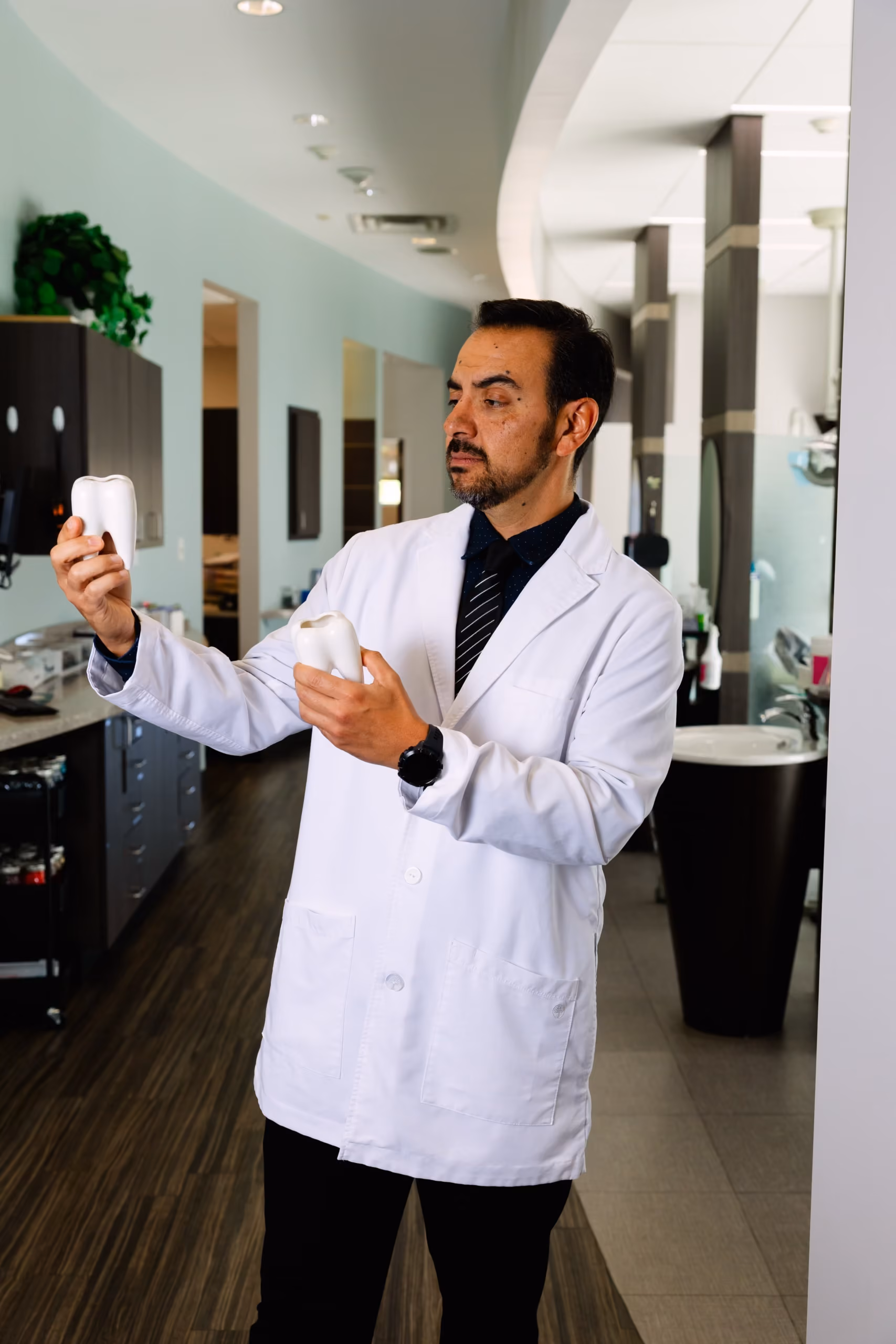Male dentist in white coat holding two large tooth models inside a modern dental office.