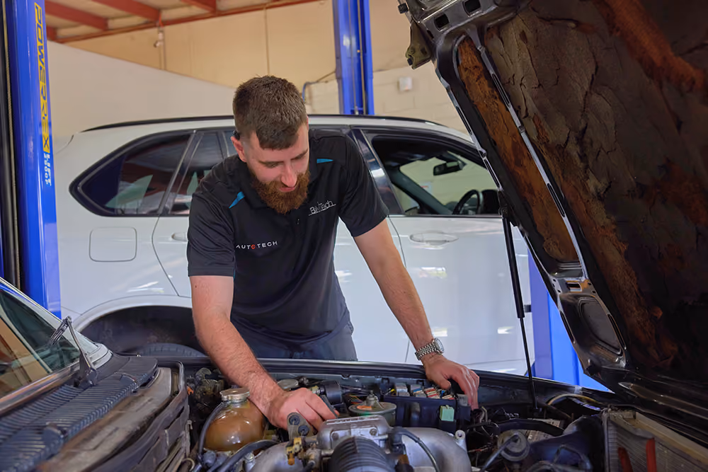 Professional car inspection