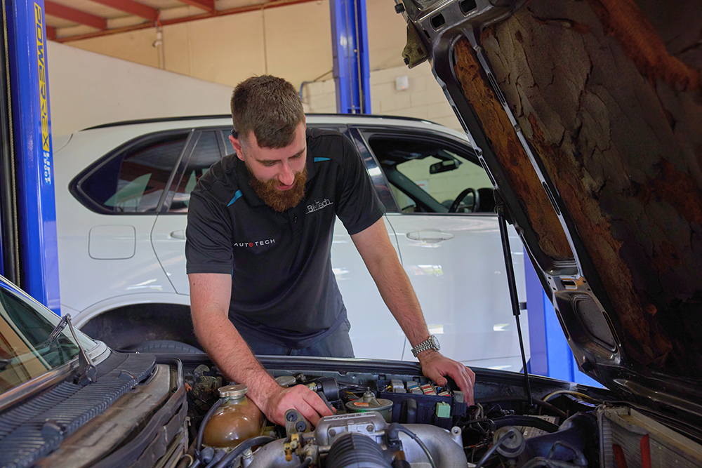 Professional car inspection