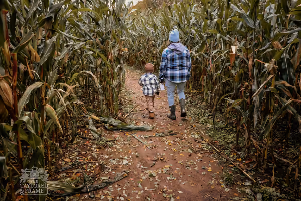 Corn Maze – Sissons' Pumpkin Patch