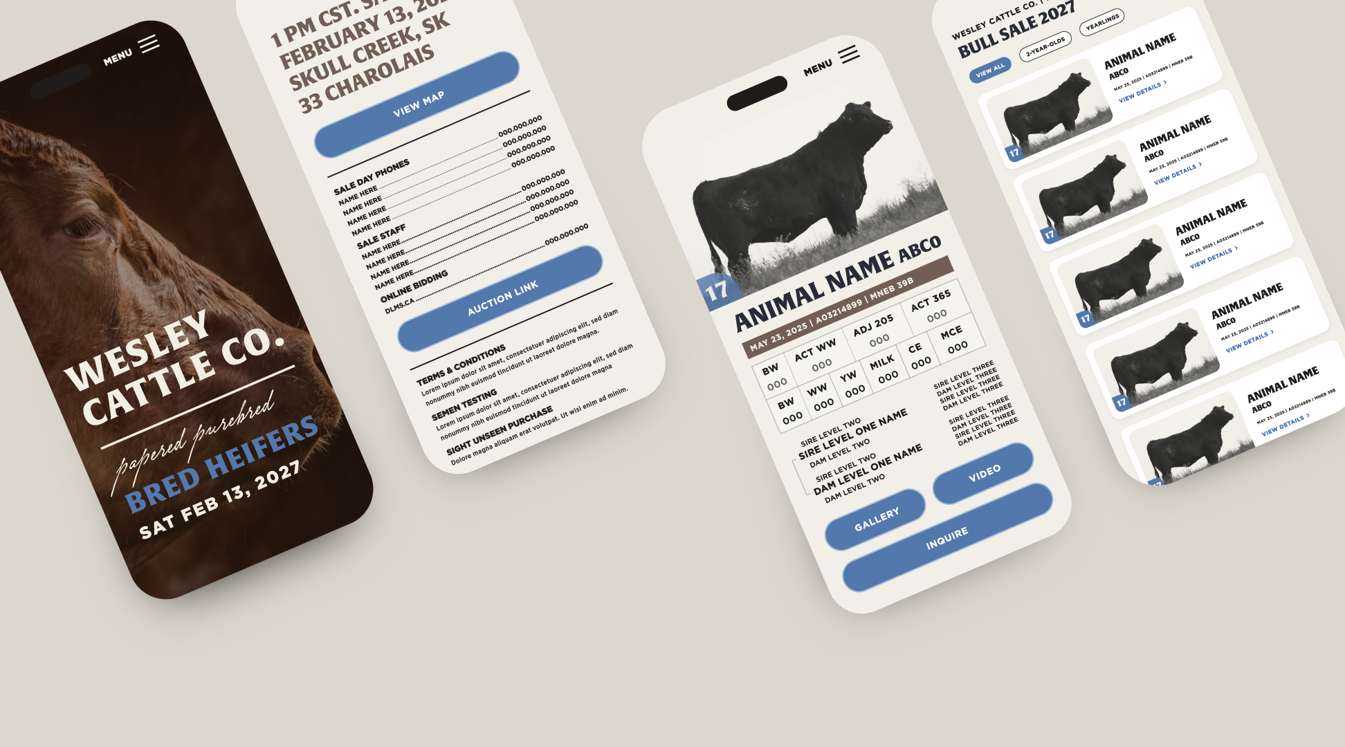 Four mobile phone screens display a cattle auction app for Wesley Cattle Co. The first screen shows a close-up of a brown cow with text about a bred heifers auction on Feb 13, 2027. The second screen lists sale details, phone numbers, sale staff, and online bidding with blue buttons for map and auction link. The third screen shows a black bull with detailed animal info, measurements, sire and dam levels, and buttons for gallery, video, and inquiry. The fourth screen lists multiple bull sale animals with thumbnail images, names, and buttons to view details for each.