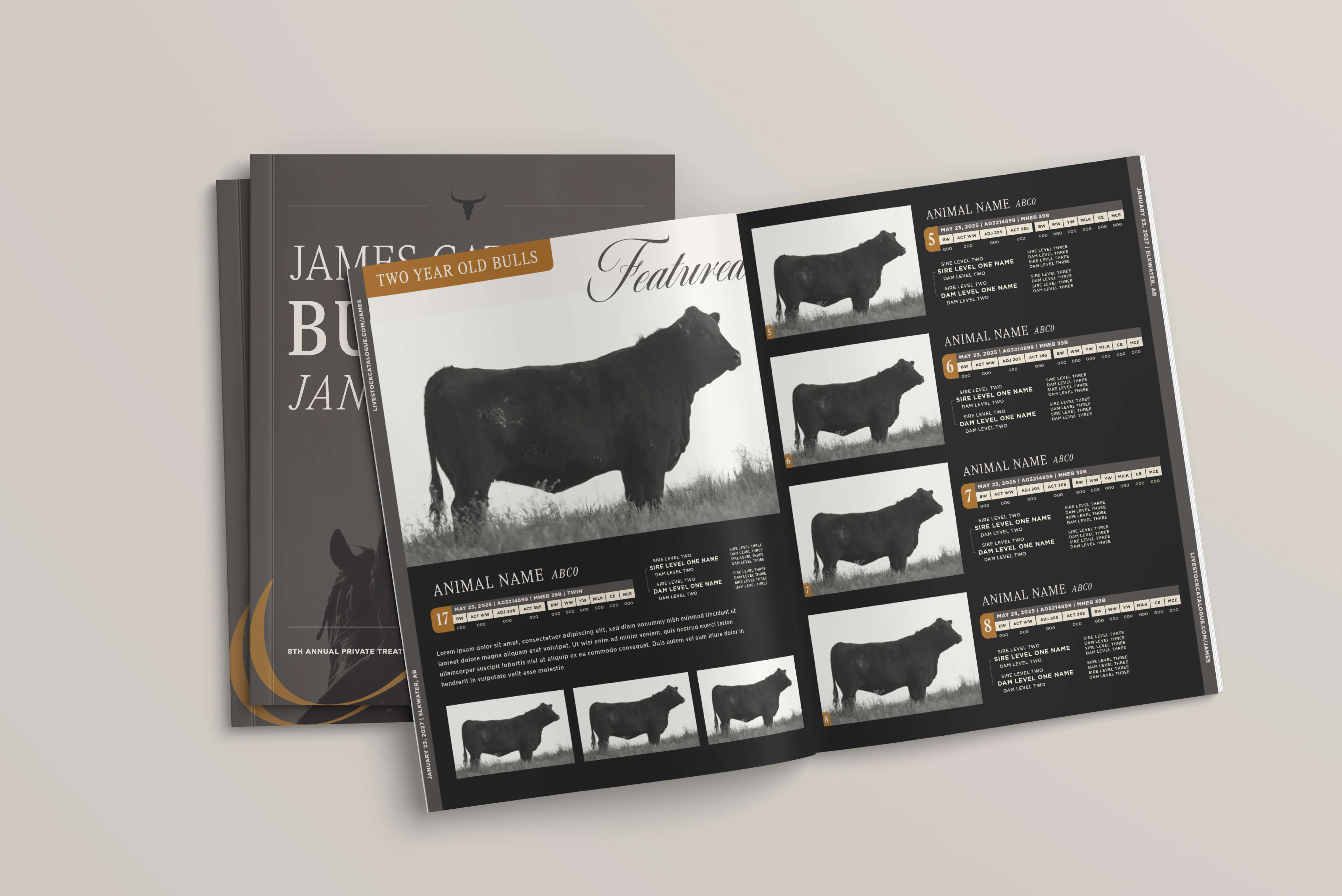 Open livestock catalog book showing black and white photos of several bulls labeled as two-year-old bulls, with each bull accompanied by descriptive data and pedigree information.