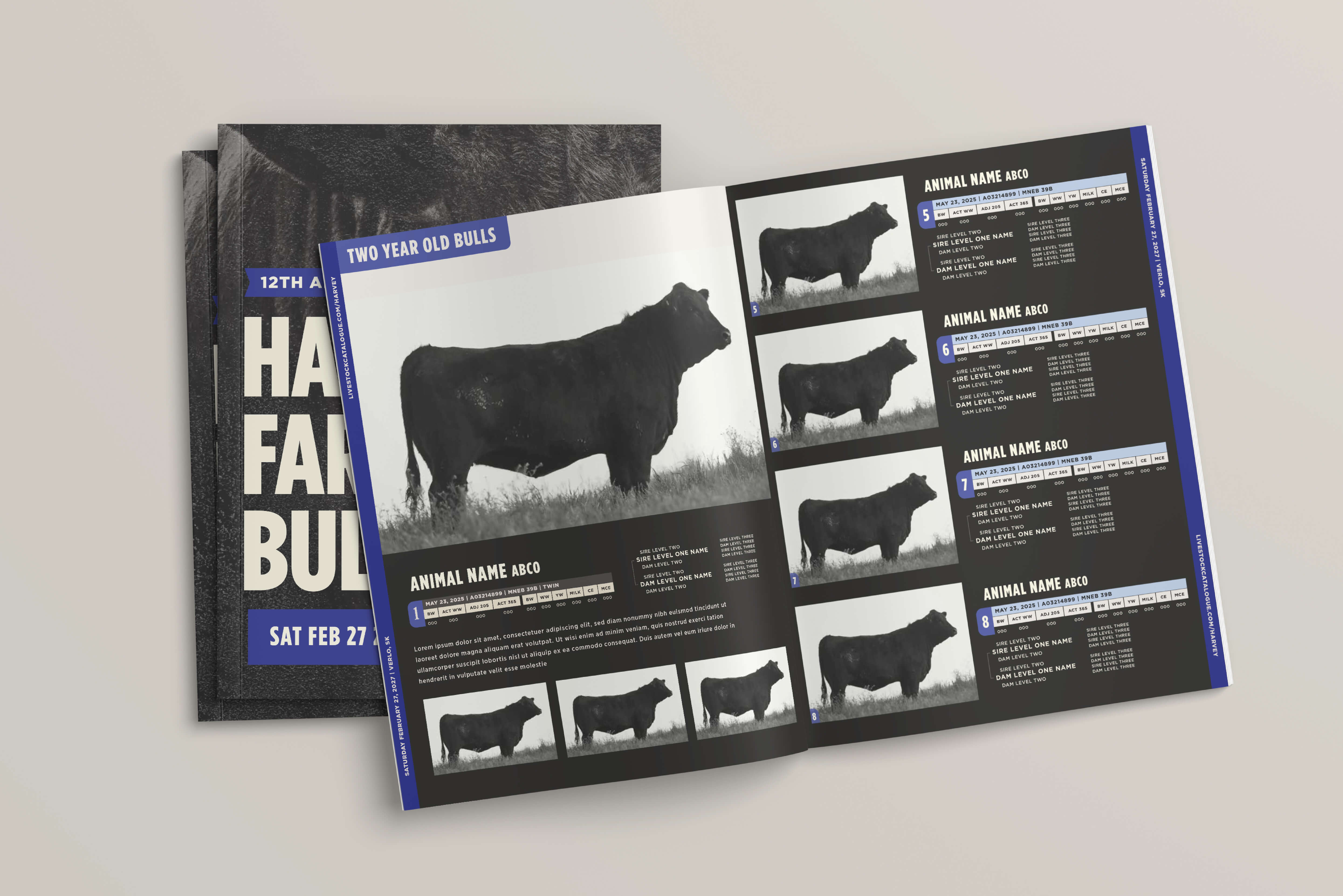 Open catalog magazine featuring black and white profile photos of two-year-old bulls with associated animal names, identification numbers, and genetic lineage details on a black background with blue and white text.