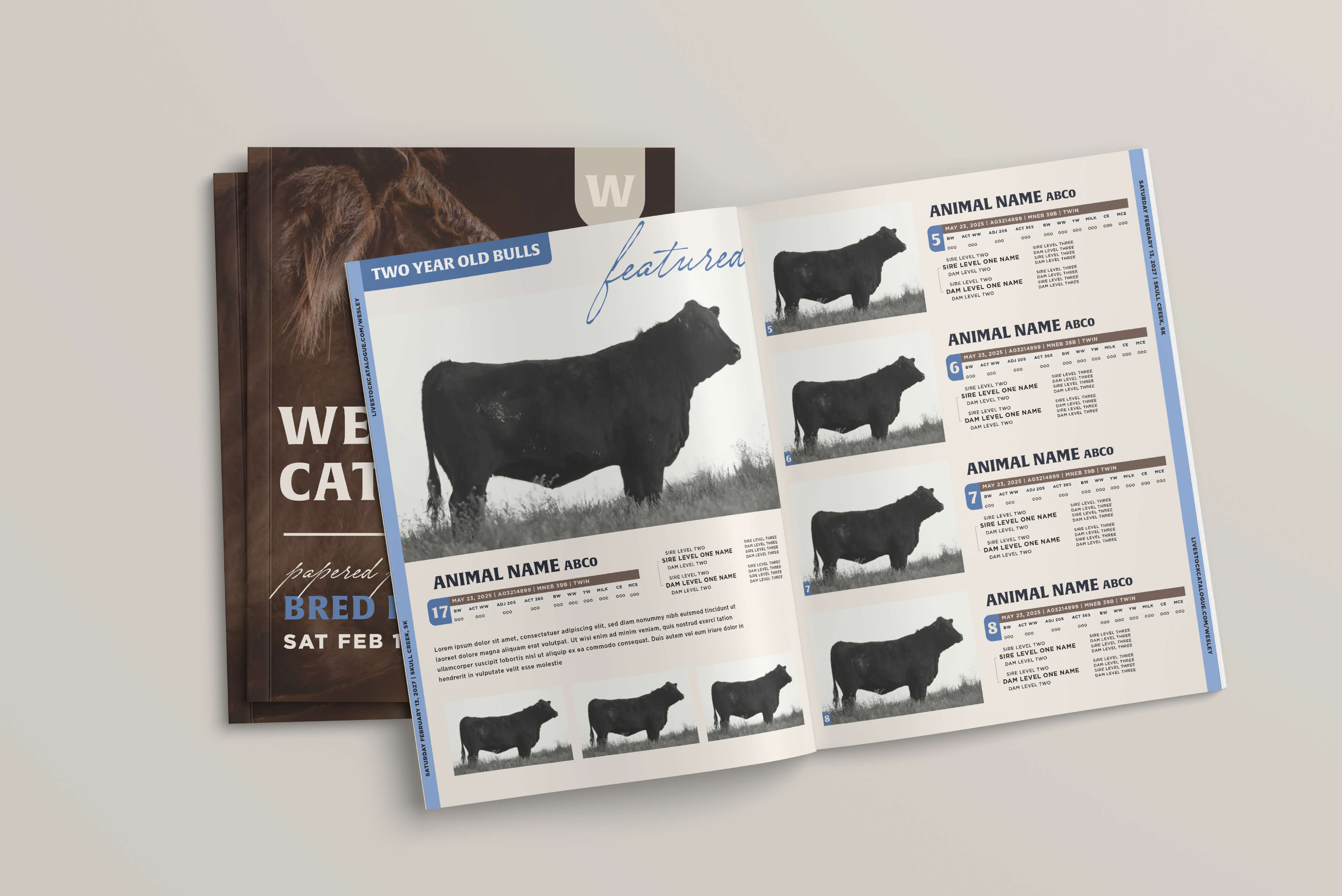 Open catalog showing a page titled 'Two Year Old Bulls' featuring black bulls with side profile photos and detailed text data including animal names, dates, and lineage information.