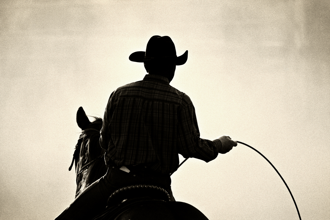 Silhouette of a cowboy wearing a hat riding a horse and holding a lasso against a bright, clear sky.