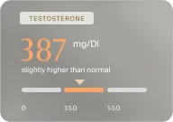 Testosterone level 387 mg/dl, slightly higher than normal on a horizontal gauge from 0 to 550.