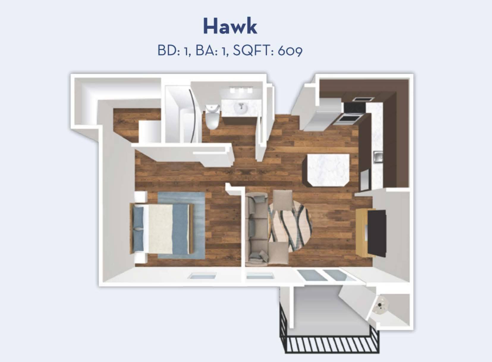 Hawk