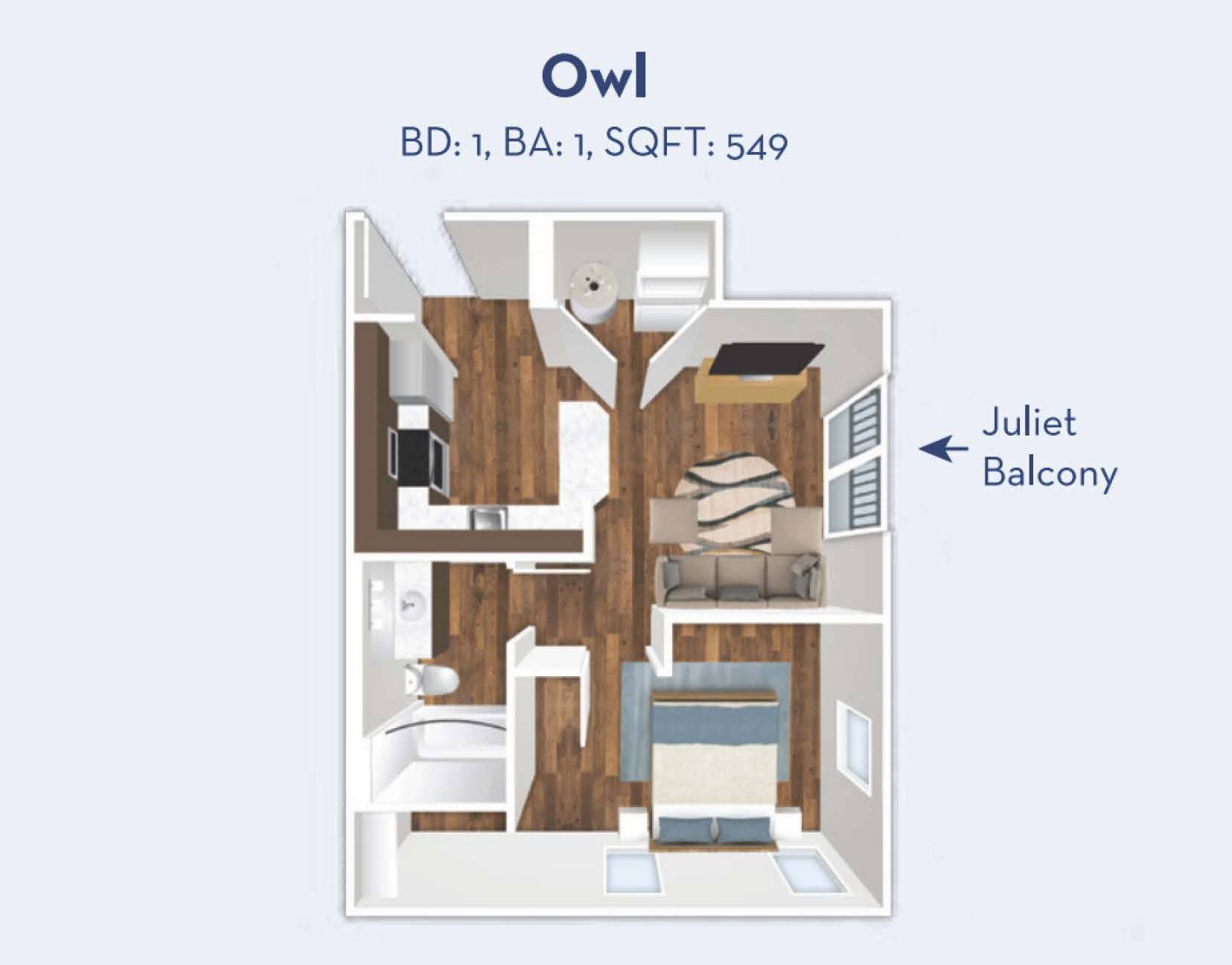 Owl