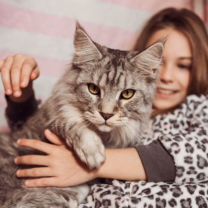 Two Moors Vets | Witheridge, Tiverton Devon