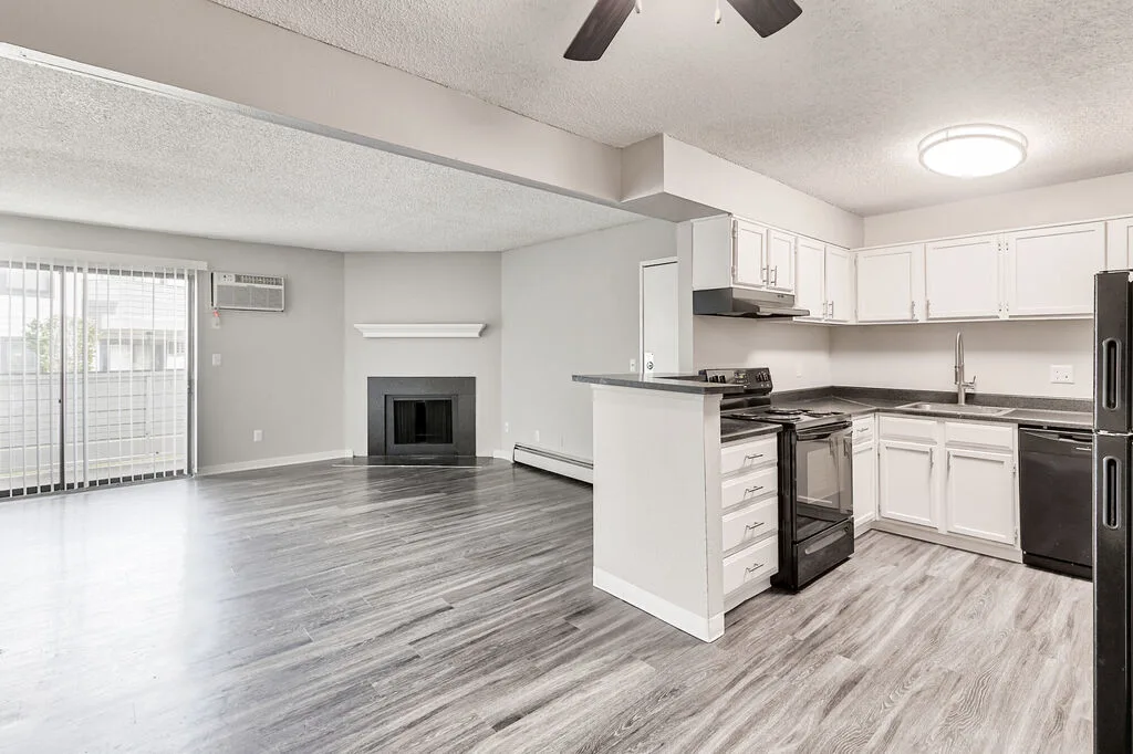 kitchen and living room