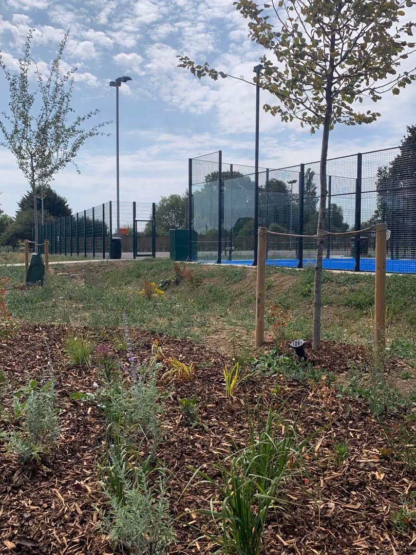 Community garden with planted seedlings, protective stakes, and sports courts with blue surface in background