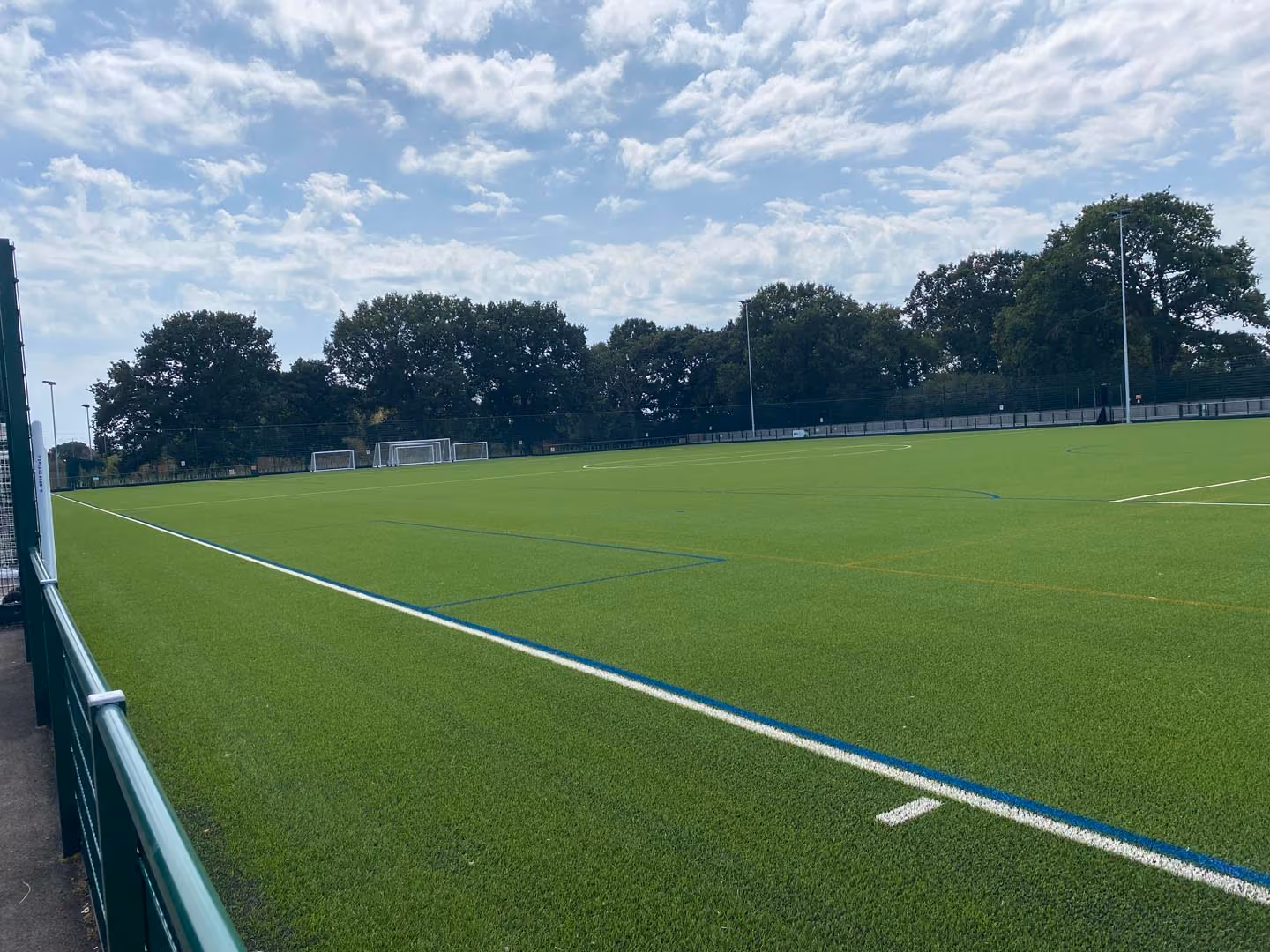 Soccer field with white markings, multiple goals, and trees under cloudy blue sky