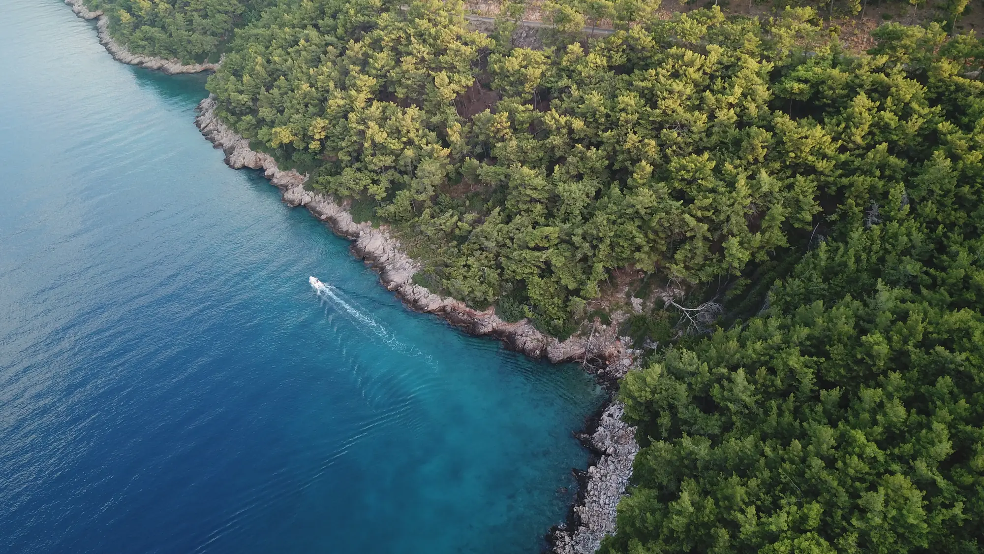 Aerial view of the pine-covered shoreline and turquoise water of Gökova Bay