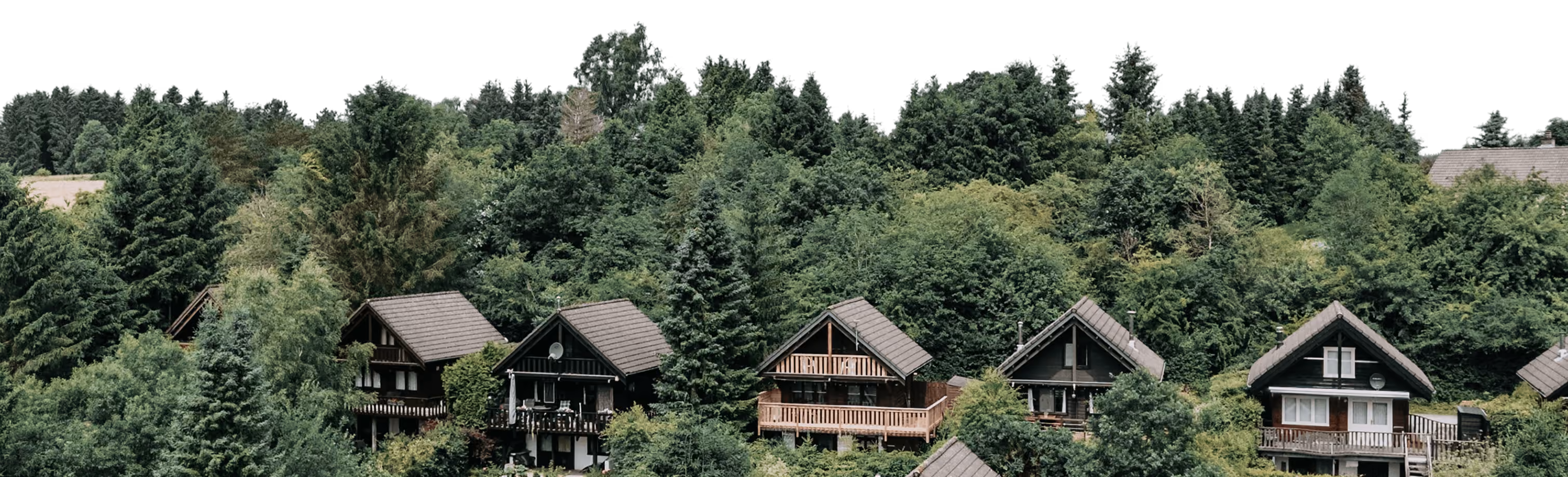 Mehrere Holzchalets eingetaucht in dichte grüne Bäume im Wald.