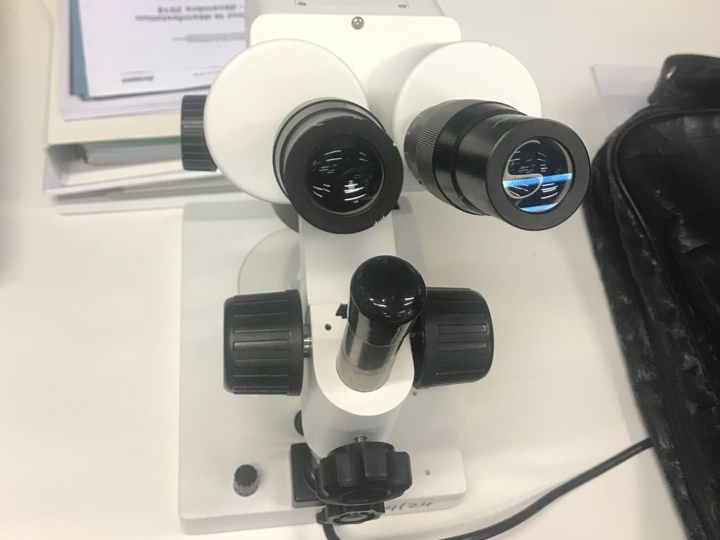 Analisi al microscopio per l'identificazione degli infestanti