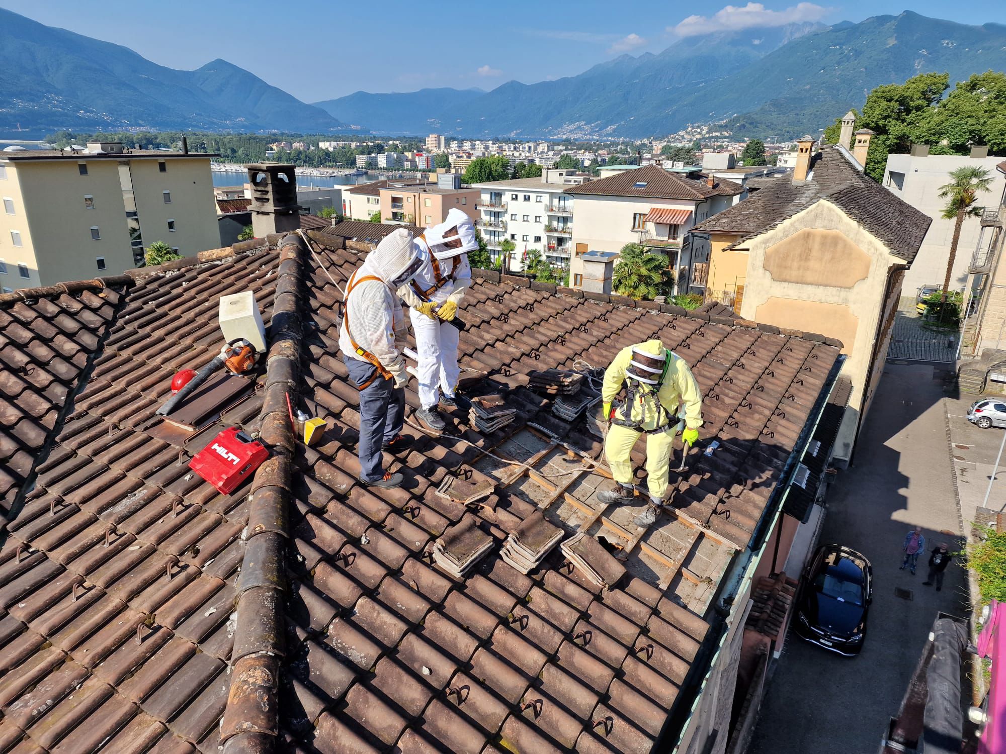 Intervento professionale su un nido di vespe sotto il tetto