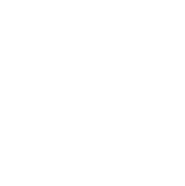 icon de la marque FoodChoice